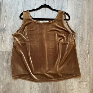 Double D Ranch Youkum size 1X Sleeveless Velvet Top